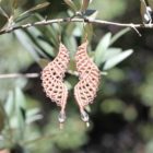 Boucle d'oreille femme tendance rose, boucles d'oreilles femme tendance, MIA Provence
